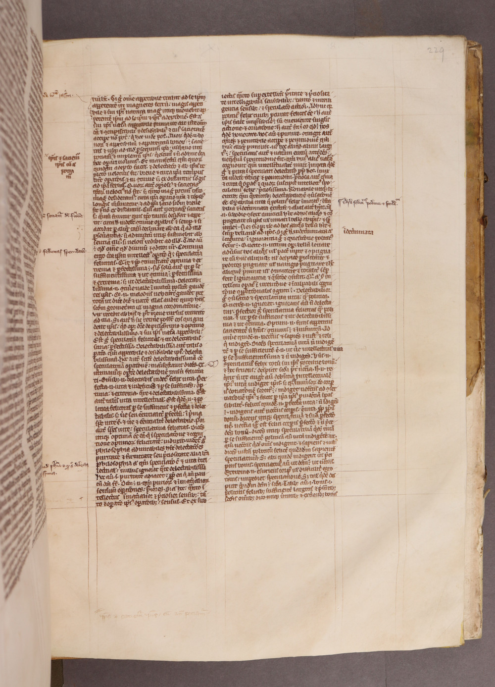 Folio 229 recto